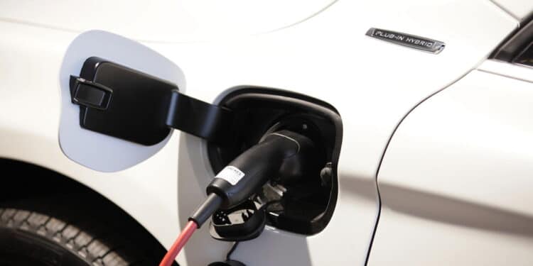 Créditos: depositphotos.com / felixtm