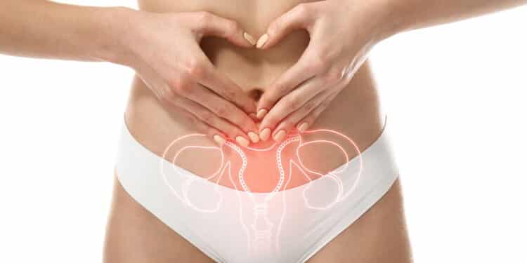 Imagem ilustrativa da endometriose -Créditos: depositphotos.com / serezniy