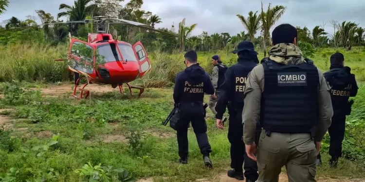 (Foto: Polícia Federal/Gov.Br)