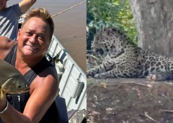 VÍDEO: Leonardo surpreende ao encontrar onça durante pescaria no Pantanal