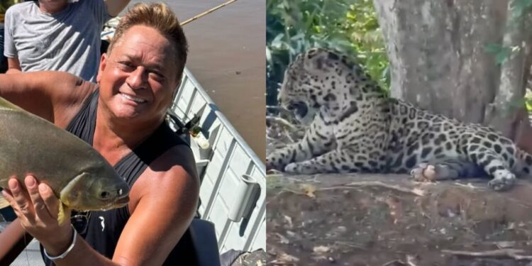 VÍDEO: Leonardo surpreende ao encontrar onça durante pescaria no Pantanal