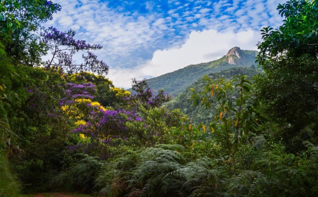 Conheça a cidade do interior de SP que ganhou fama de nova Campos do Jordão e surpreende com beleza