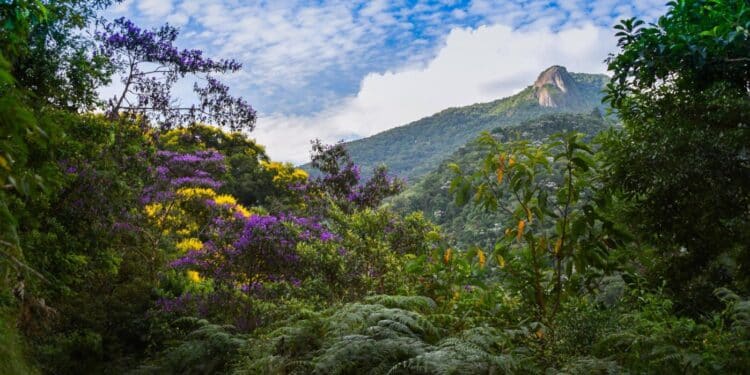 Conheça o destino em SP que está conquistando todos como a ‘nova Campos do Jordão’