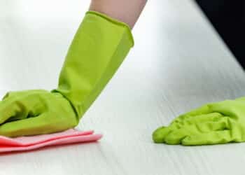 Influencer viraliza na web ao oferecer serviços de faxina sem roupa