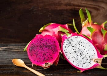 Como plantar pitaya no vaso e colher frutas em casa de forma simples