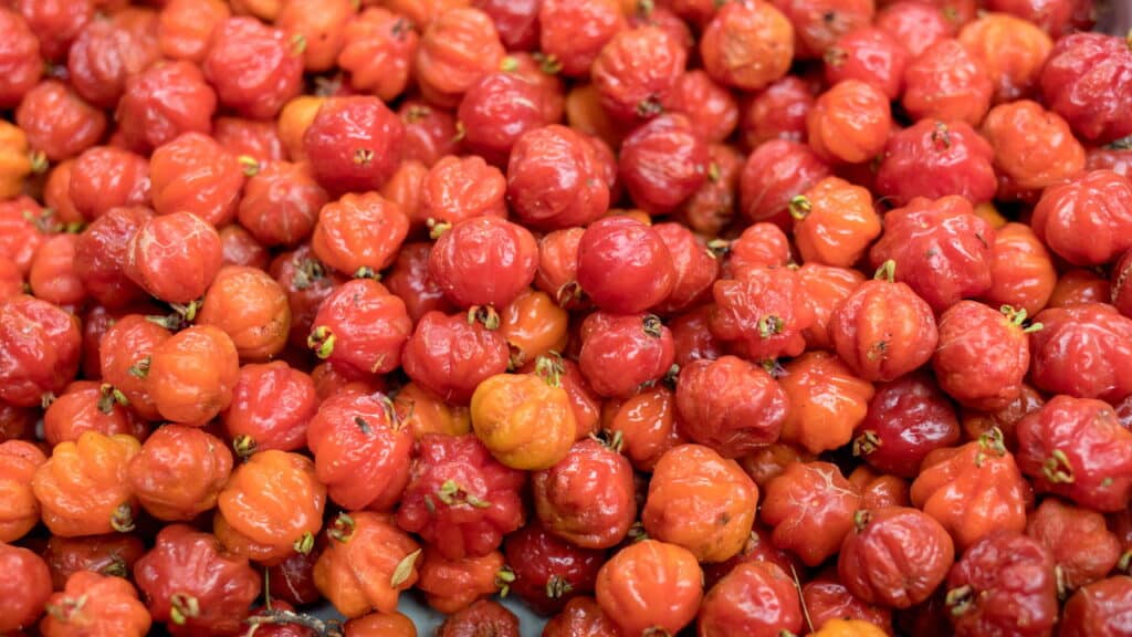 Fruta que age como protetor solar? Conheça os benefícios dessa joia!