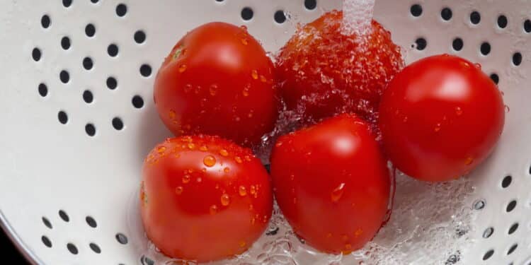 Tomates sendo lavados - Créditos: depositphotos.com / kunertus