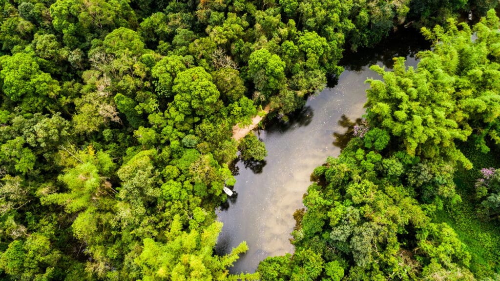 Amazônia já teve vulcões? A história surpreendente dos gigantes extintos