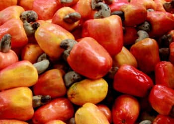 O pseudofruto mais consumido do Brasil pode fazer milagres com sua saúde!