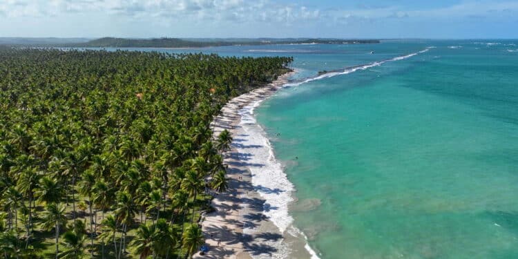 Você vai se surpreender! 3 praias perfeitas para crianças no Brasil