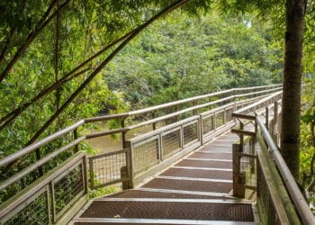Descubra os motivos surpreendentes para conhecer esse paraíso natural!