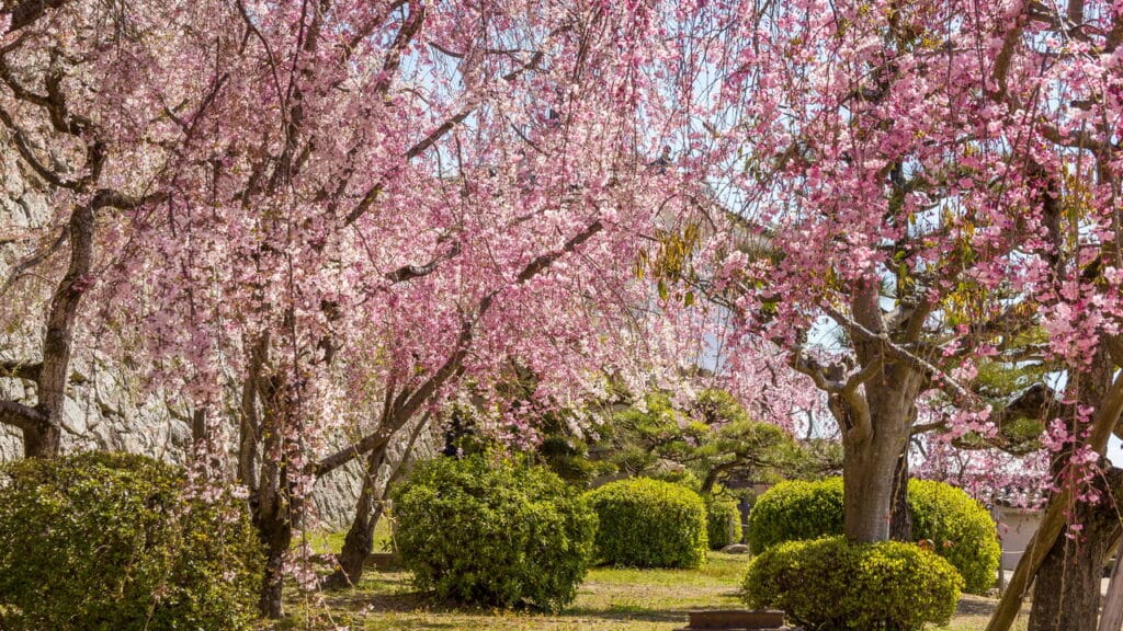 Descubra a cidade japonesa que guarda um dos maiores tesouros históricos do mundo