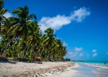 O Caribe Brasileiro Existe! Descubra os Destinos Mais Paradisíacos do Nordeste