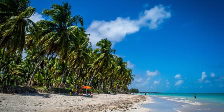 O Caribe Brasileiro Existe! Descubra os Destinos Mais Paradisíacos do Nordeste