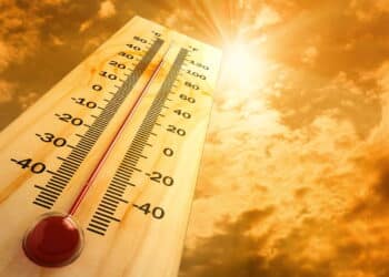 Estes alimentos podem te ajudar a superar o calor!