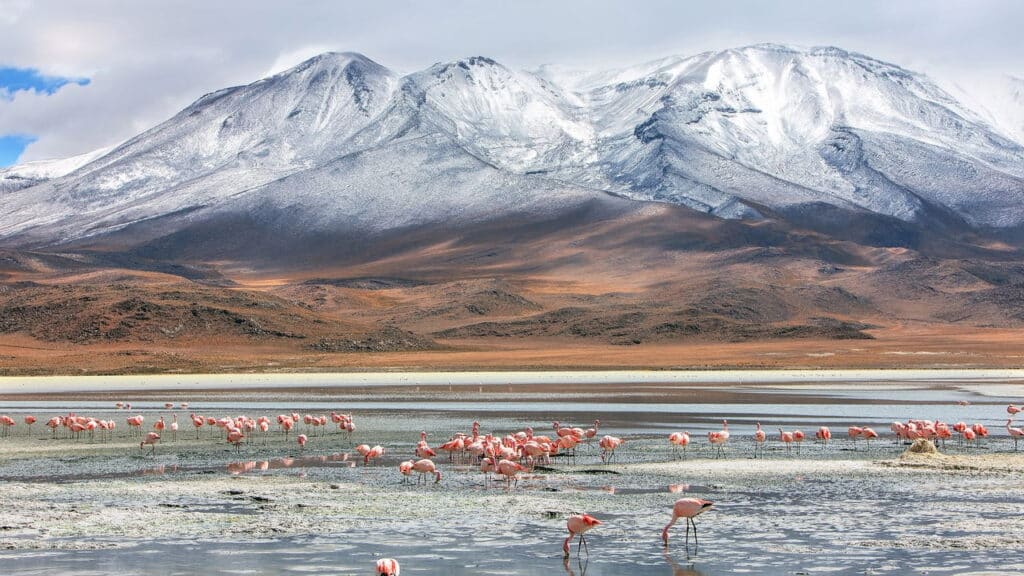 Descubra lugares incríveis na América Latina para sua próxima viagem