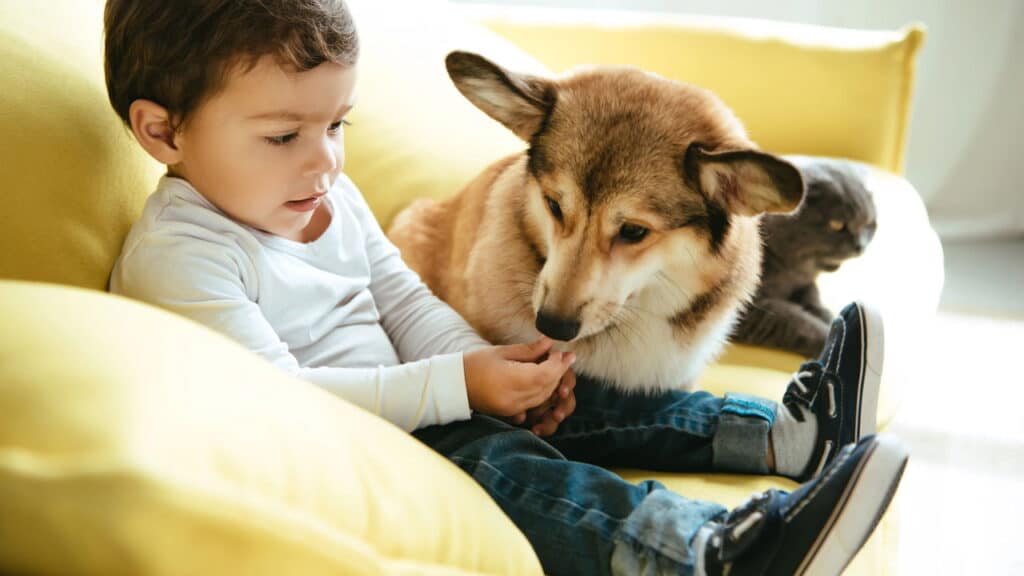 Ter animais de estimação pode salvar sua vida!