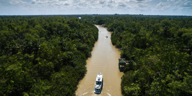 Bacia Amazônica – Créditos: depositphotos.com / gustavofrazao