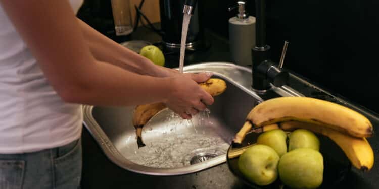 Sua saúde corre perigo! Entenda porque você não deve comer frutas sem lavar.