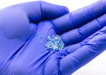 Micro plásticos presentes em alguns alimentos podem causar infertilidade