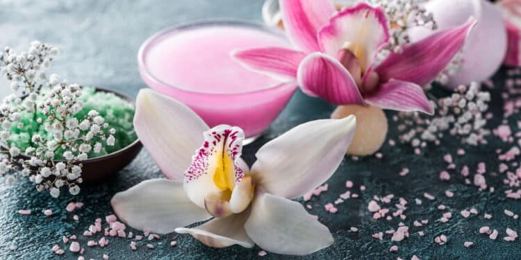 Orquídeas - Créditos: depositphotos.com / VadimVasenin