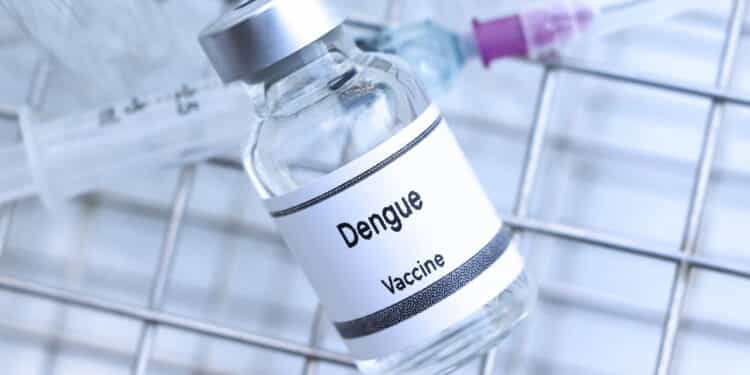 Segunda dose da vacina da dengue é essencial para proteção completa