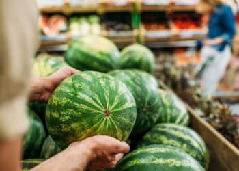 Como plantar melancia do jeito certo e colher frutas grandes e doces