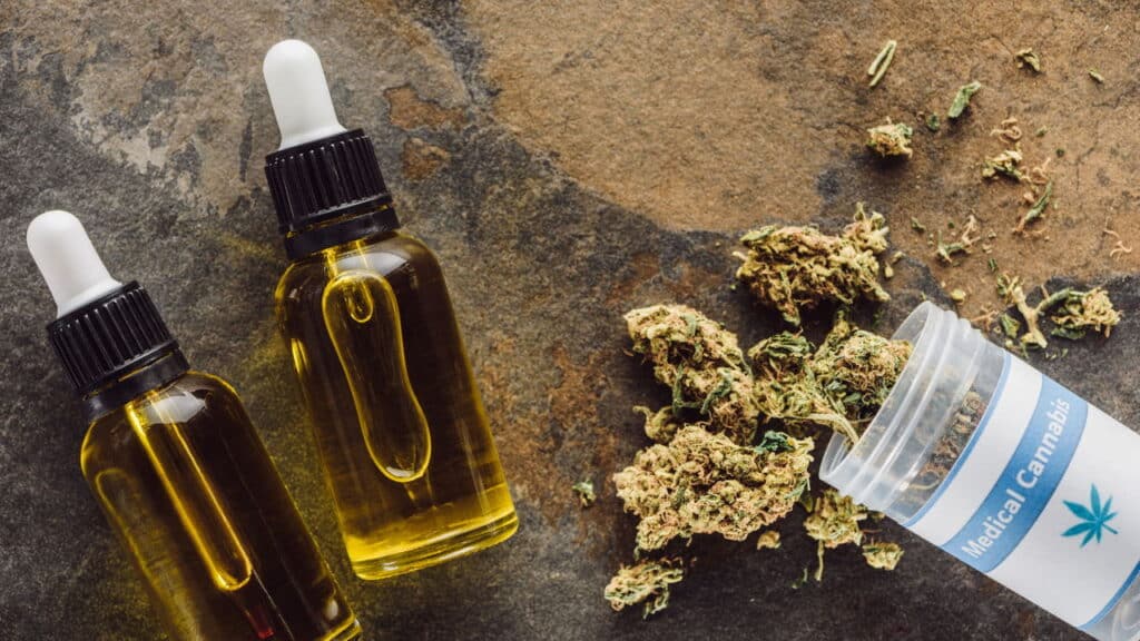Cultivo de cannabis medicinal no Brasil pode ter novas regras; entenda
