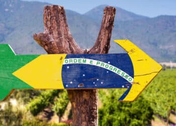 Fruta brasileira surpreende e brilha em ranking mundial de sabores; saiba qual