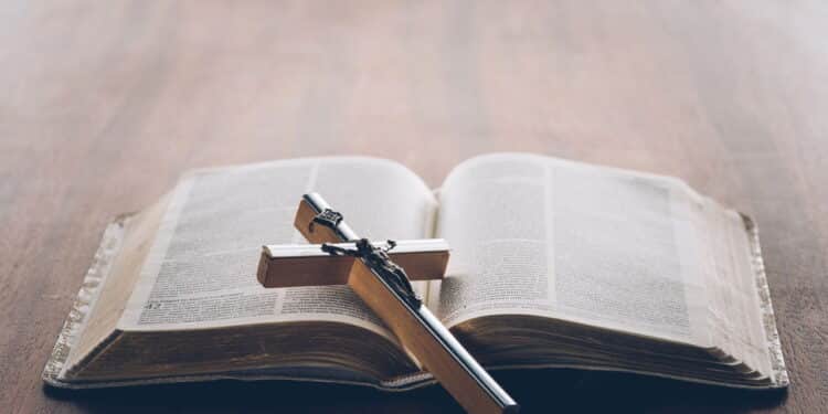 Créditos: depositphotos.com / VadimVasenin