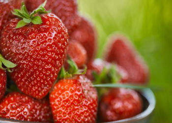 Frutas pós-treino: veja o segredo natural para ganhar massa mais rápido