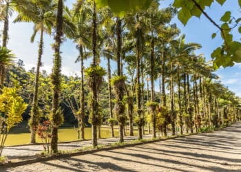 Essa cidade de SC oferece máxima segurança para seus moradores!