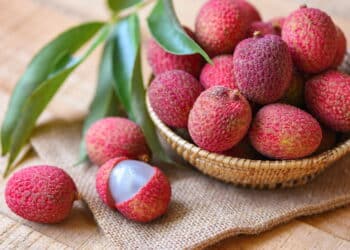 Créditos: depositphotos.com / poringdown@gmail.com