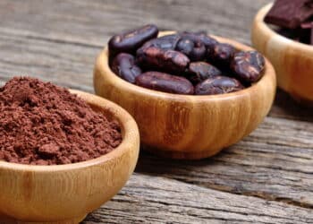 Gigantes da produção de cacau na Bahia resistem à crise mundial do chocolate
