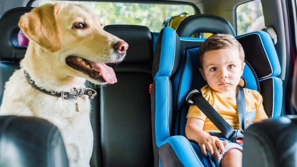 Todo o motorista precisa estar atento a atualização da lei da cadeirinha!