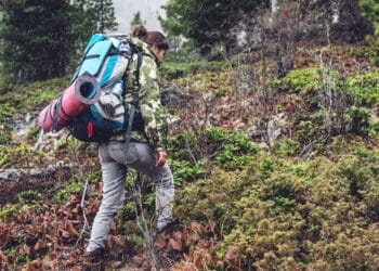 Créditos: depositphotos.com / artoleshko