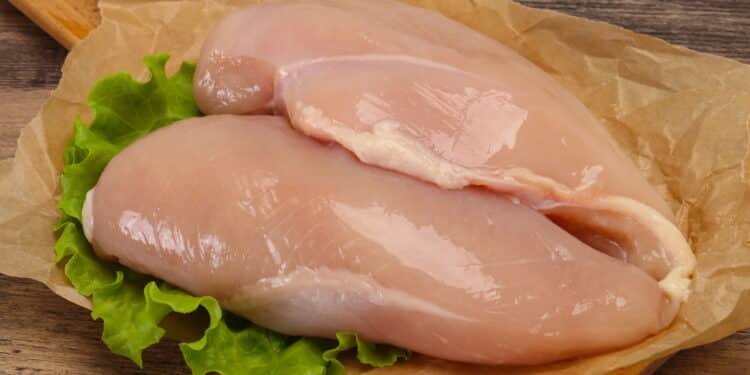 Frango causa câncer? Estudo acende o alerta (com uma grande ressalva)
