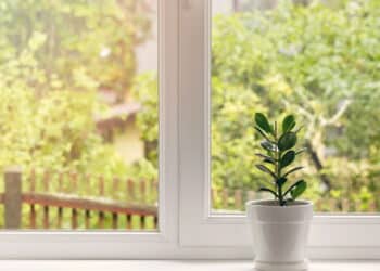 Créditos: depositphotos.com / ronstik