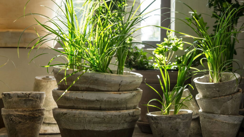 Créditos: depositphotos.com / StudioLightAndShade