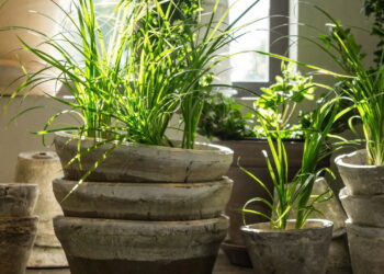 Créditos: depositphotos.com / StudioLightAndShade