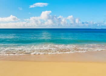 Créditos: depositphotos.com / EpicStockMedia