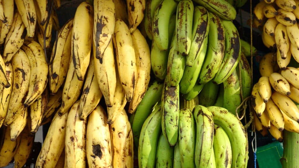 Você come essa fruta todo dia e talvez não saiba que ela combate o câncer e o colesterol