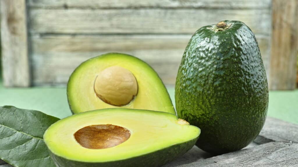 Você dá isso pro seu pet? Veja os alimentos que podem levá-lo a passar mal