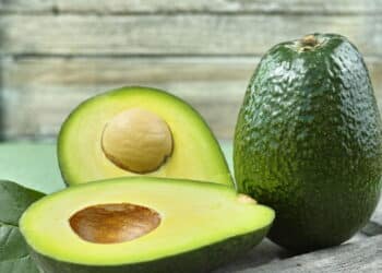 Você dá isso pro seu pet? Veja os alimentos que podem levá-lo a passar mal
