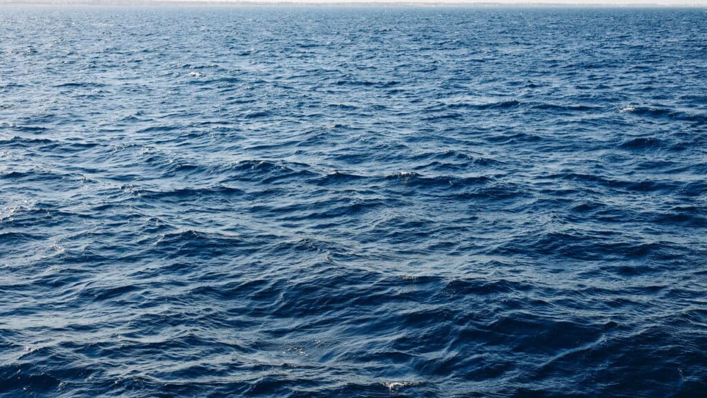 Desespero no mar: criança de 4 anos cai de navio da Disney e pai se joga para salvá-la; veja
