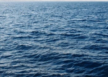 Desespero no mar: criança de 4 anos cai de navio da Disney e pai se joga para salvá-la; veja