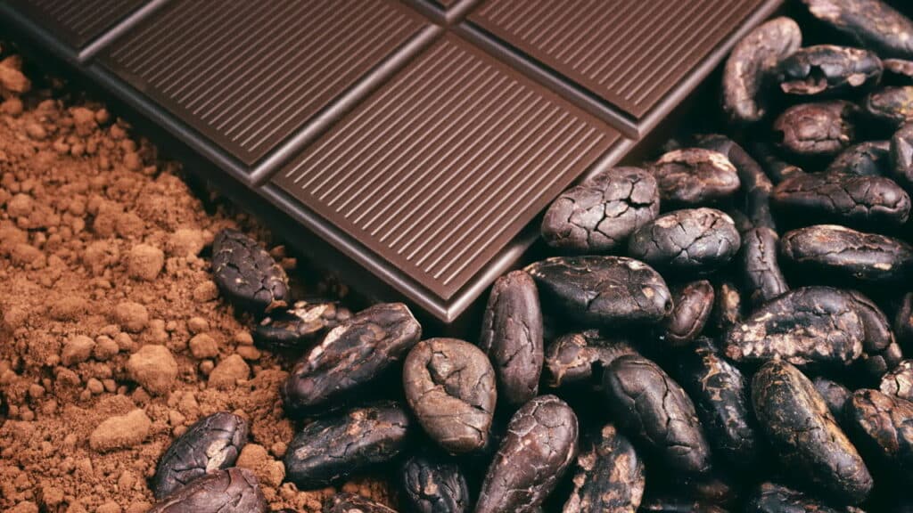 Você dá isso pro seu pet? Veja os alimentos que podem levá-lo a passar mal