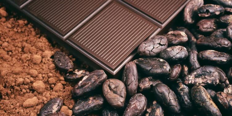 Senado aprova lei que pode 'mudar' o sabor do chocolate; entenda