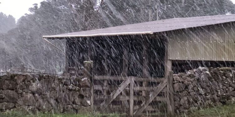 Neve no Brasil? Veja quantas vezes o fenômeno já surpreendeu o país e Minas Gerais