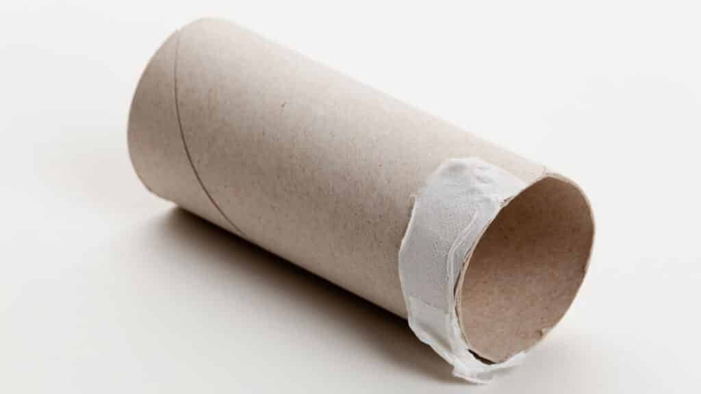 Dica sustentável: pare de descartar os rolos de papel higiênico, você está jogando um tesouro no lixo sem saber